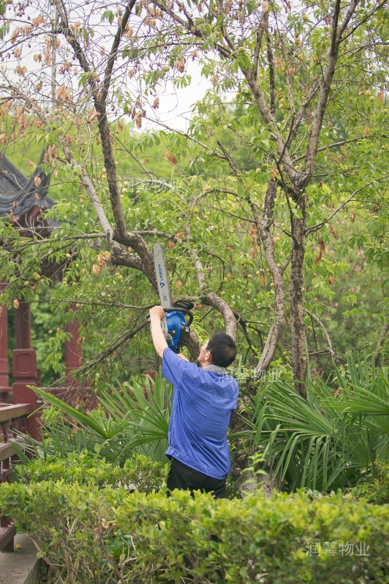 22年物業(yè)風(fēng)采3
