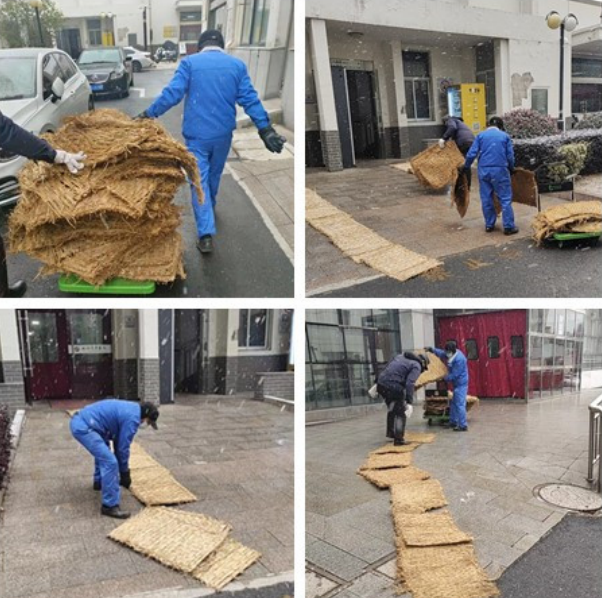 以雪為“令”，以動(dòng)止“凍”